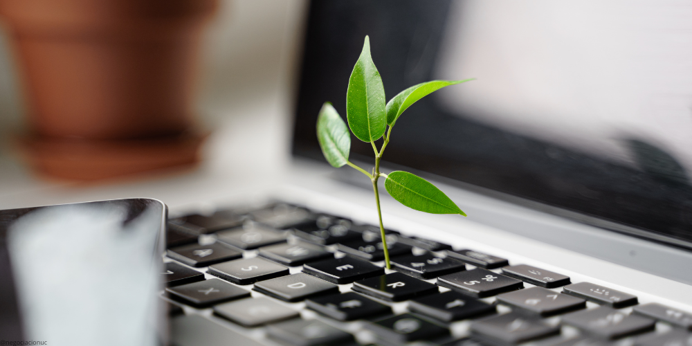 Blog sostenibilidad